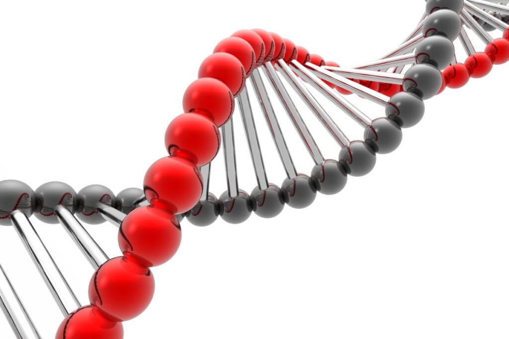 a dna strand with red balls