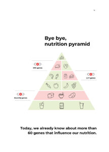 Nutrition pyramid