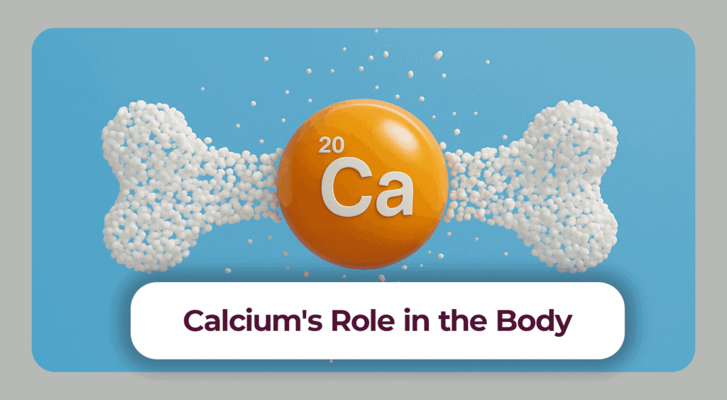Calcium: Function & Daily Requirement