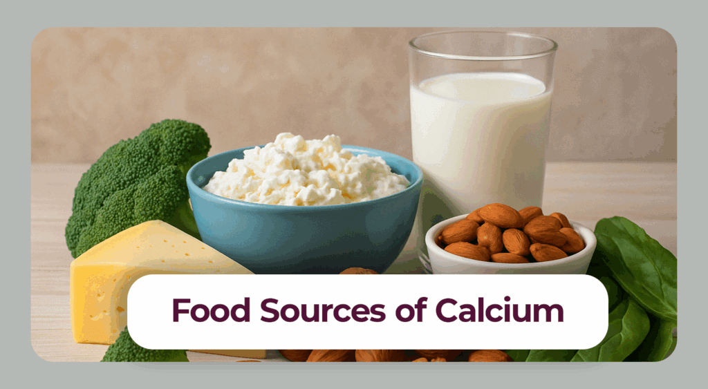 Foods high in calcium