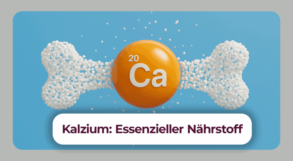 Kalzium: Funktion & Tagesbedar