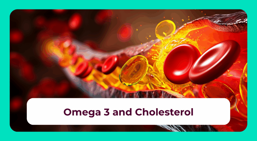 Omega-3 & Cholesterin: Wirkung?